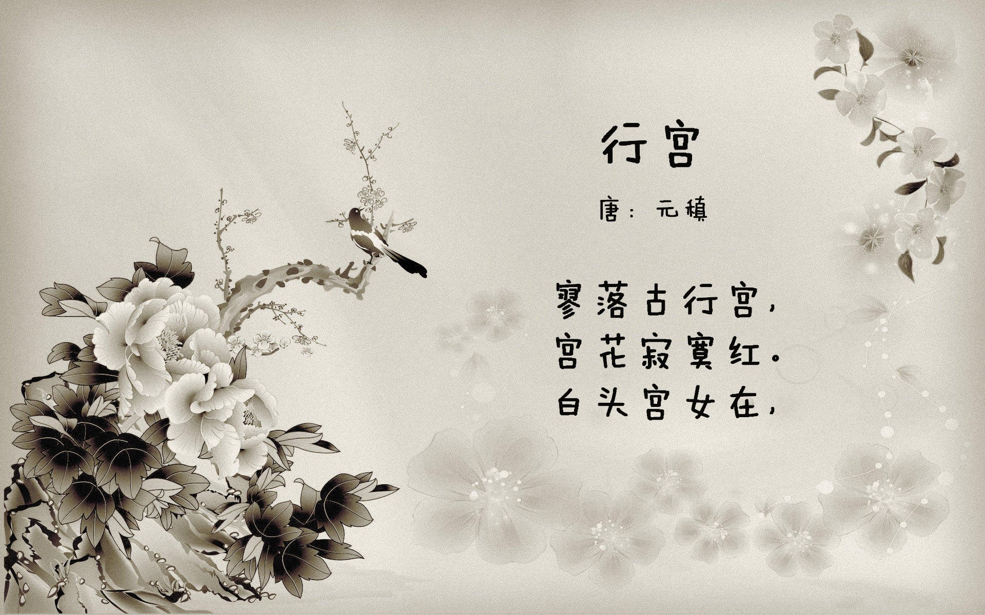 Kaiyun官方登录入口-_森林狼焕发新活力，逐步追赶季后赛席位_，森林狼季后赛战绩