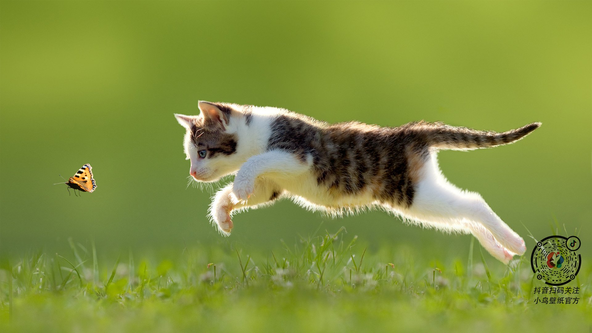 kaiyun开云·官方网站-夜跑灯光秀，照亮城市的运动夜晚，夜跑灯实用吗